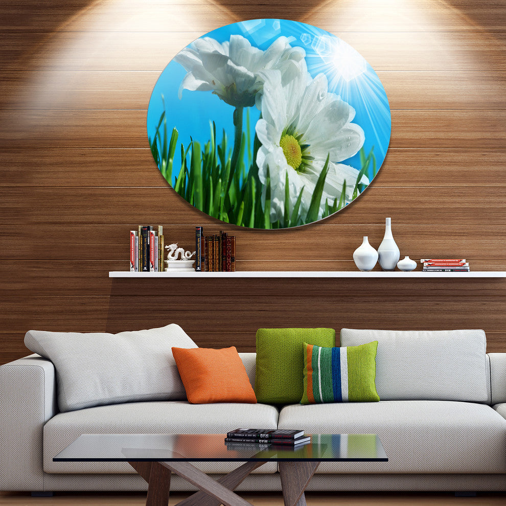 Beautiful Chamomiles In Bright Sunlight, Flower Round Wall Art, 36"
