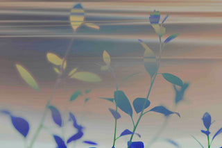 "Tranquility I" Print on Canvas by Sia Aryai