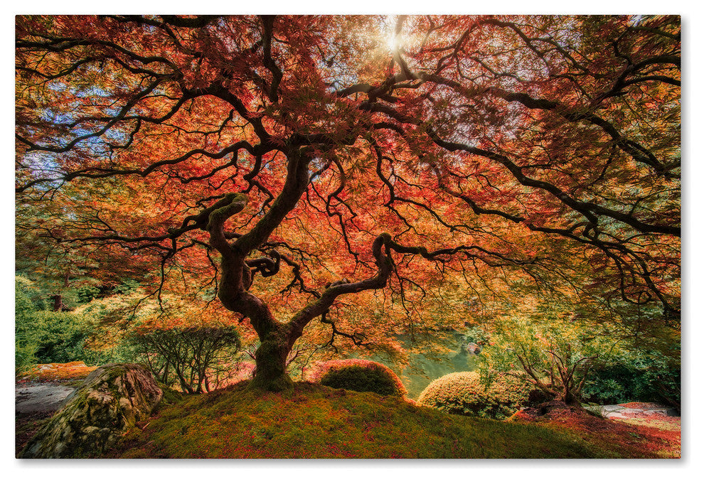 Moises Levy 'The Tree Horizontal' Canvas Art, 47 x 30