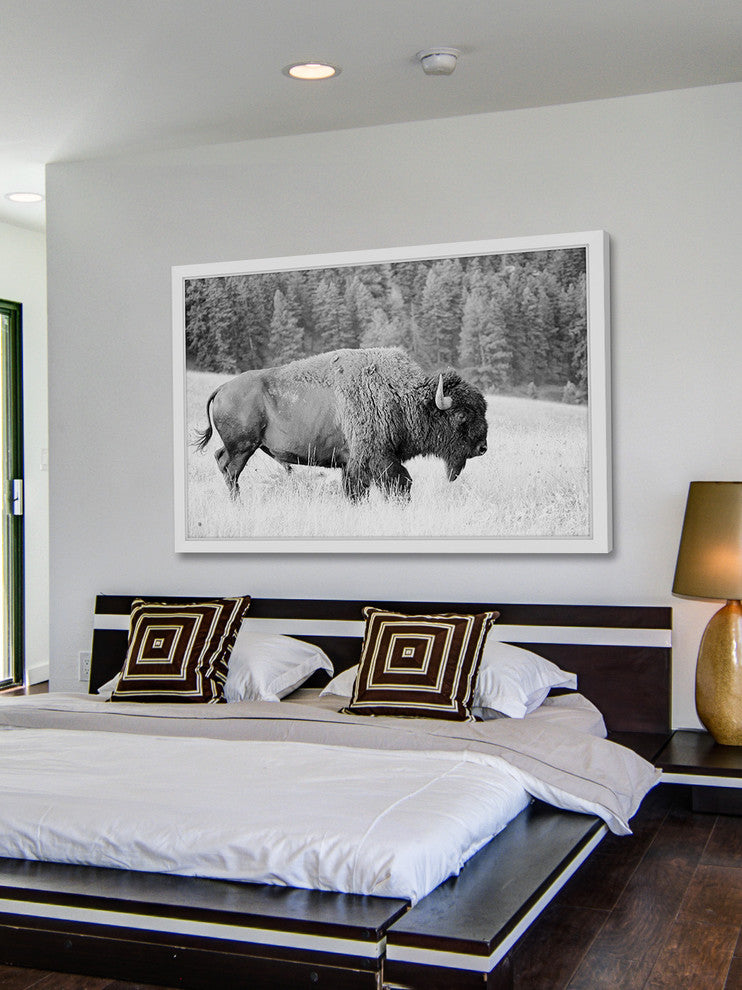 Marmont Hill, "Buffalo Grazing" Framed Painting Print, 30x20