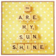 Happee Monkee You Are My Sunshine Framed Wall Art