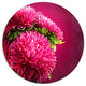 Pink Flowers Of Asters On Red, Flowers Large Disc Metal Wall Art, 11"