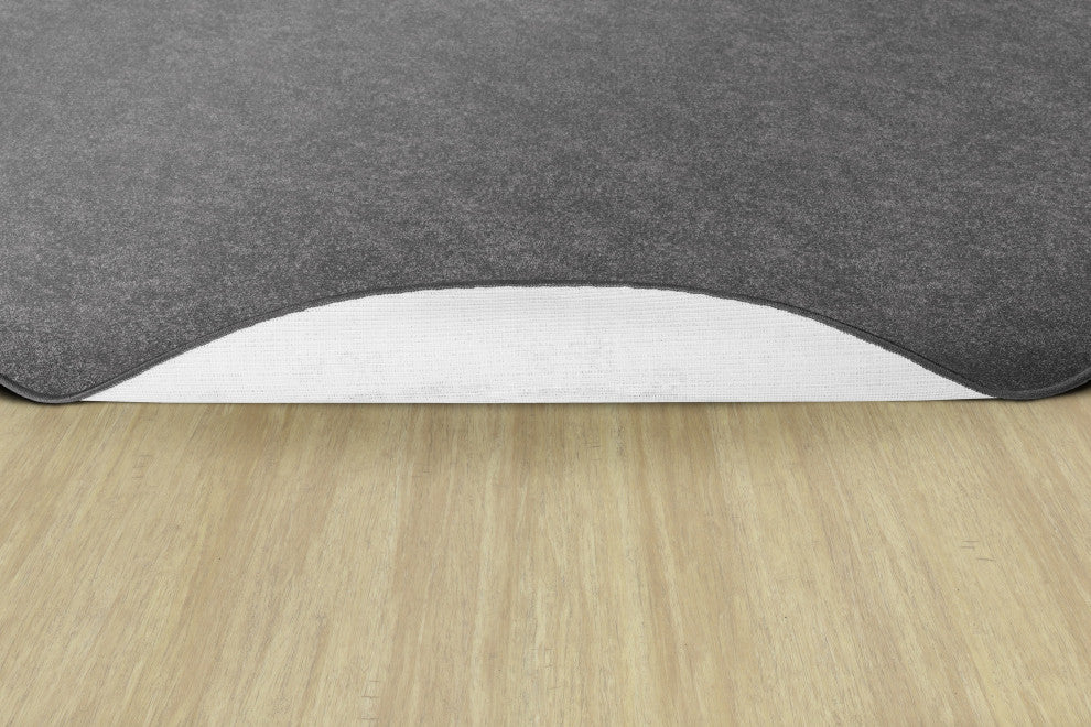 Flagship Carpets TS-27GY Amerisoft Gray