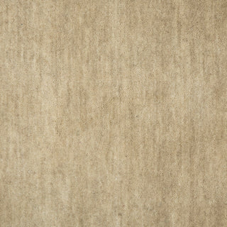 Arizona Rye Area Rug, Ivory, 2' x 3', Solid