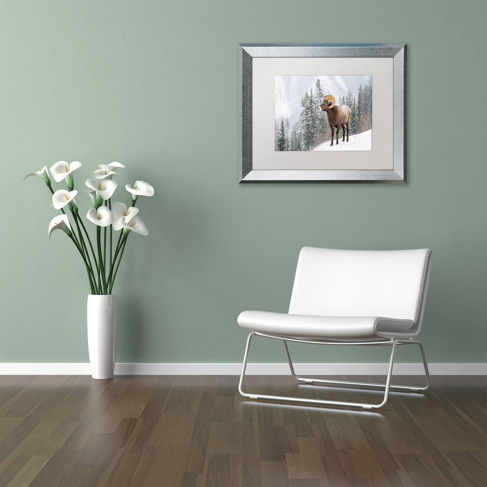 Michael Blanchette 'Bighorn in Snow' Art, Silver Frame, White Mat, 14x11