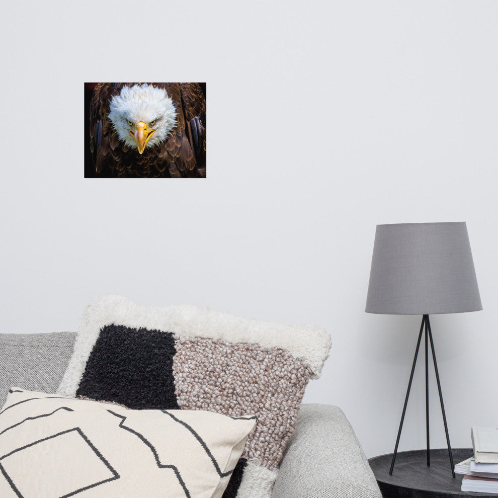 Bald Eagle Portrait Close-up Loose Wall Art Print, 11" X 14"
