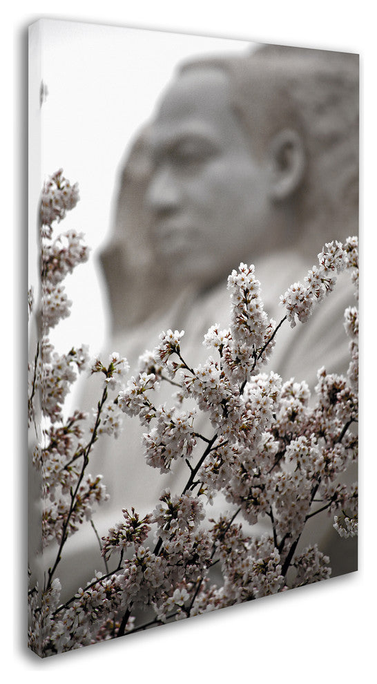 CATeyes 'MLK Blossoms' Canvas Art, 30x47