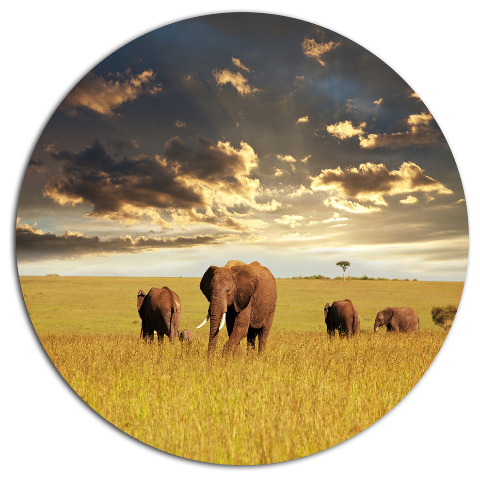 Group Of Elephants In Africa, African Large Disc Metal Wall Art, 36"