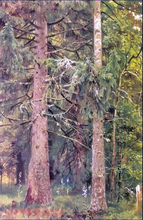 Ivan Ivanovich Shishkin Firry forest Wall Decal