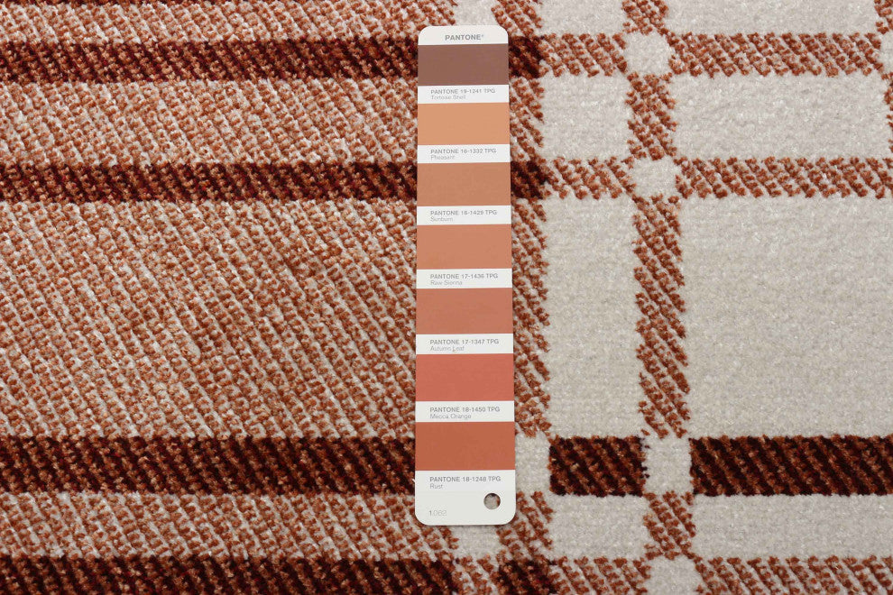 Aqua Roma Area Rug, Copper, 2'6"x8'