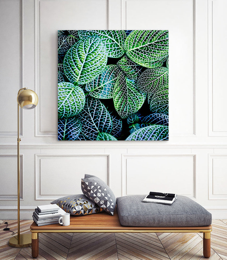 "Leaf Viii" Museum Mounted Canvas Print, 20"x20"