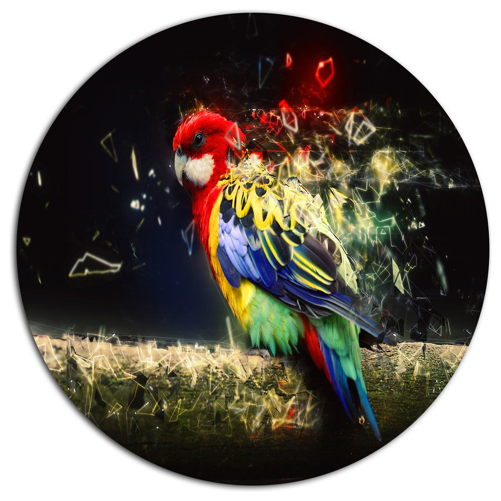 Colorful Parrot On Branch, Animal Large Disc Metal Wall Art, 36"