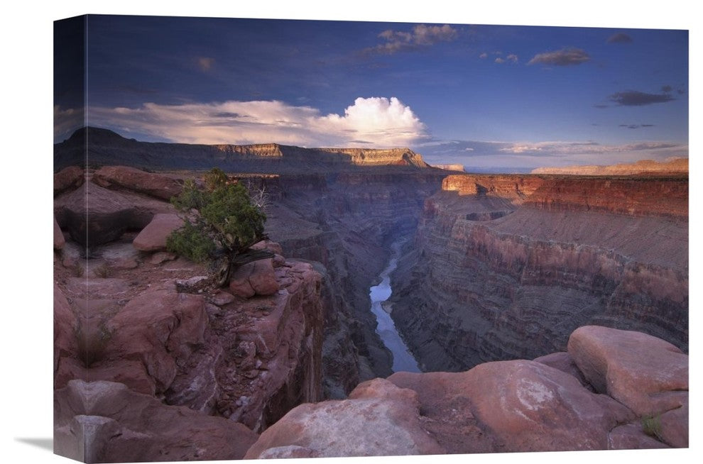 "Colorado River-Toroweap Overlook, Grand Canyon National Park, Arizona" Artwork