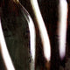 "Rhone" Metal, 45"x45"