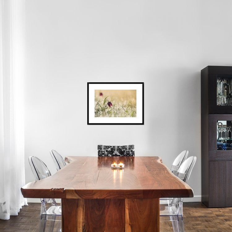 "Morningdew" Framed Digital Print by Anton Van Dongen, 30x22"