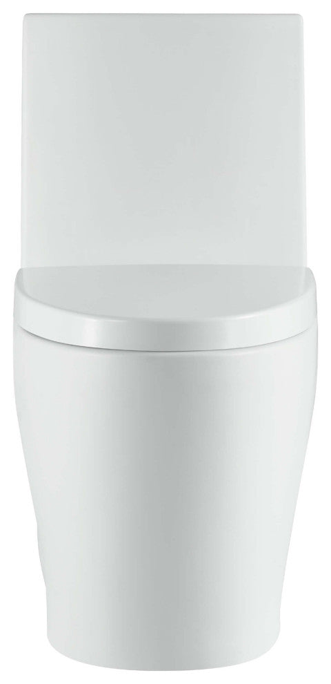 Fine Fixtures Dual-Flush Elongated One-Piece Toilet With High Efficiency Flush, White High Gloss