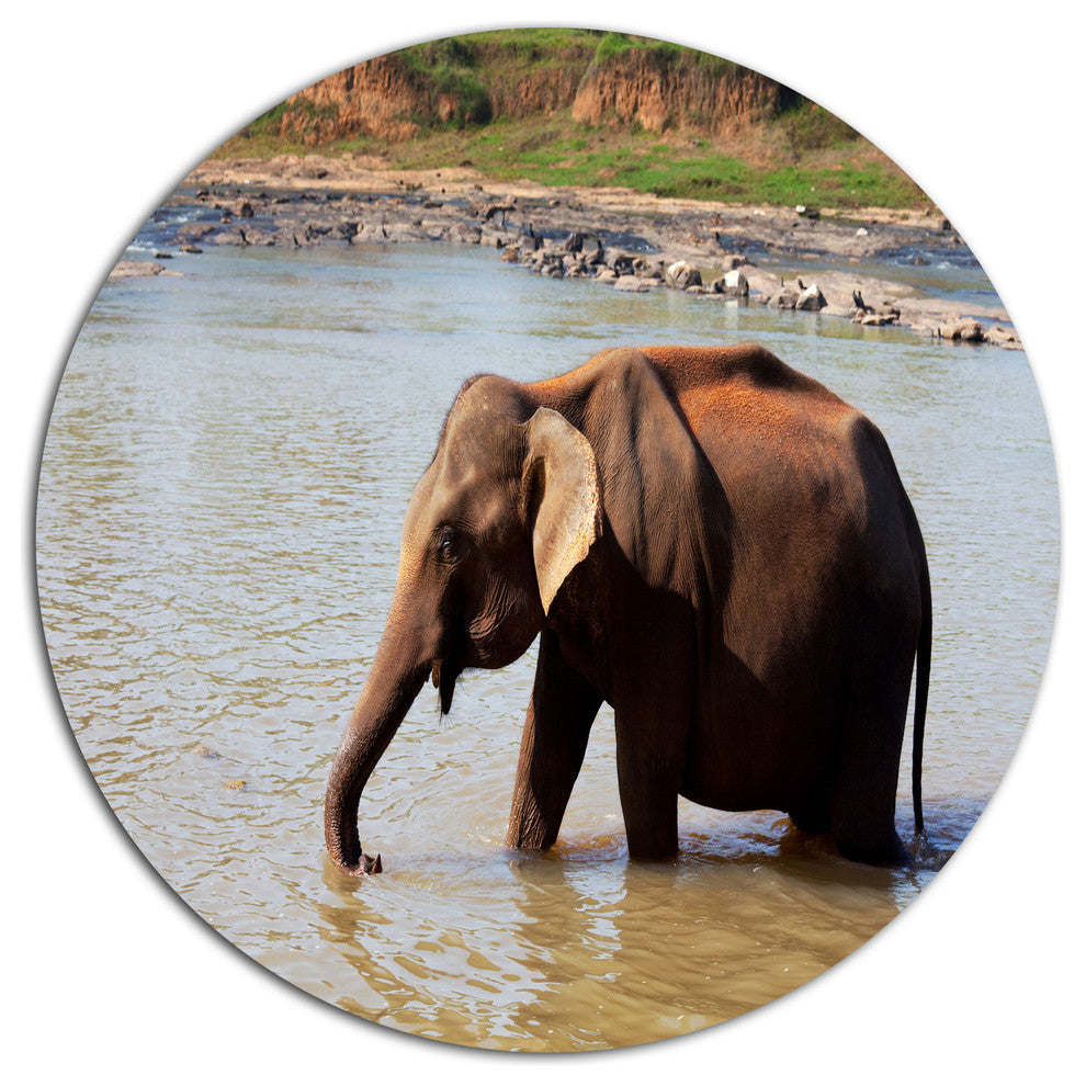 Elephant In Water In Sri Lanka, African Round Wall Art, 36"
