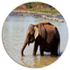 Elephant In Water In Sri Lanka, African Round Wall Art, 36"