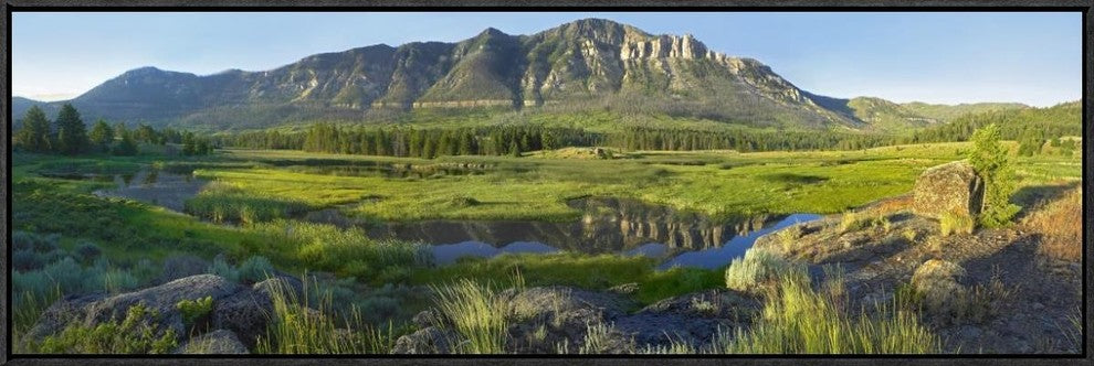 "Panorama view of Windy Mountain, Wyoming"  by Tim Fitzharris, 37x13"