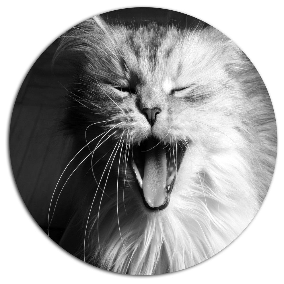 Yawning White Cat, Animal Round Wall Art, 11"