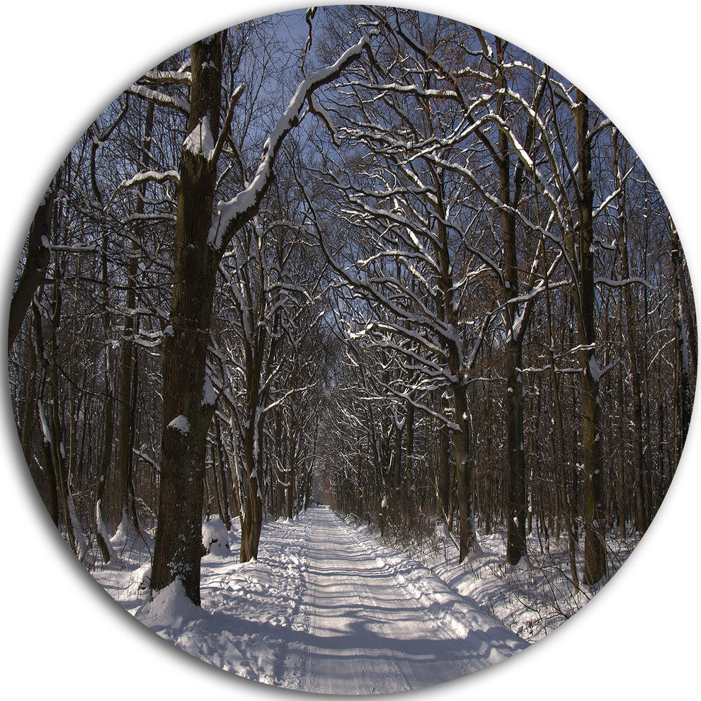 Path On Sunny Winter Day In Park, Forest Large Disc Metal Wall Art, 23"