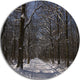 Path On Sunny Winter Day In Park, Forest Large Disc Metal Wall Art, 23"
