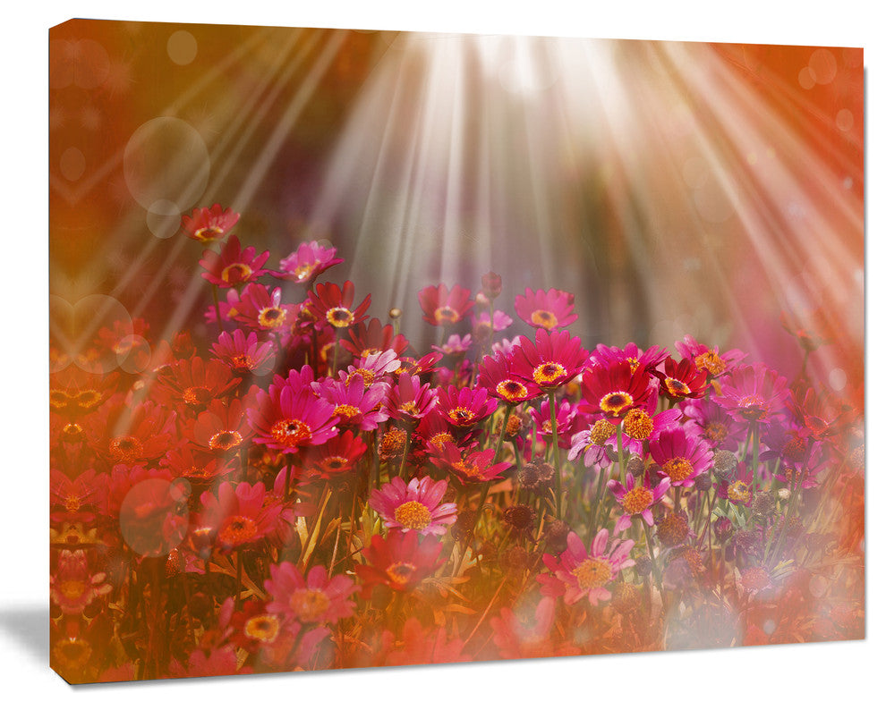 Sunlight over Garden with Flowers, Large Floral Canvas Artwork, 40"x30"