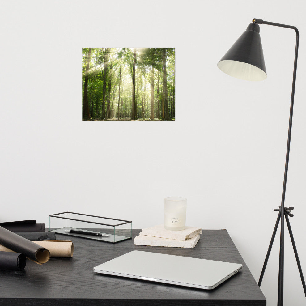 Sun Rays Through Treetops Landscape Photo Unframed Wall Art Print, 11" X 14"