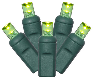 Vickerman 50 Light LED Wide Angle Twinkle Light Set, Lime