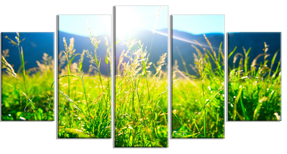 Beautiful Green Nature Wonder, Landscape Canvas Art Print, 60"x32", 5 Panels