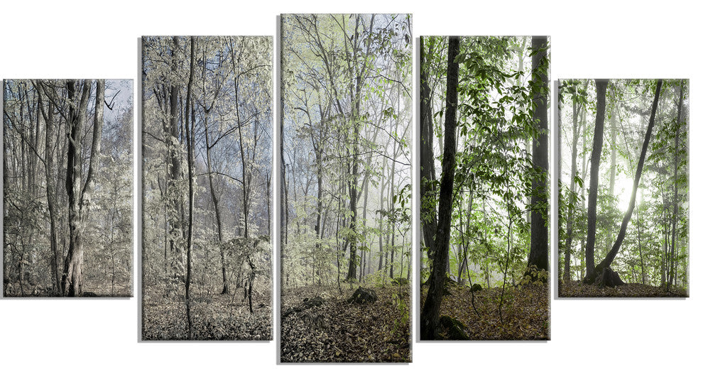 Green Morning in Forest Panorama, Landscape Canvas Art Print, 60"x32", 5 Panels