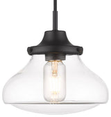 Golden Lighting 3419-S Nash 8"W Mini Pendant - Matte Black