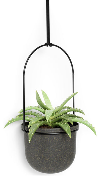 Umbra Triflora Hanging Planter, Set of 5 Black