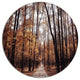 Road In Autumn Golden Forest, Forest Round Metal Wall Art, 11"