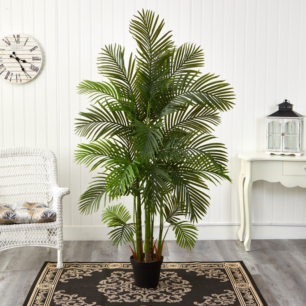 Lifestyle image in a real room showing the full Areca palm within a living space.