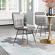 Var Dining Chair, Set of 2 Gray