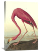 "American Flamingo" Artwork, 24" x 36"