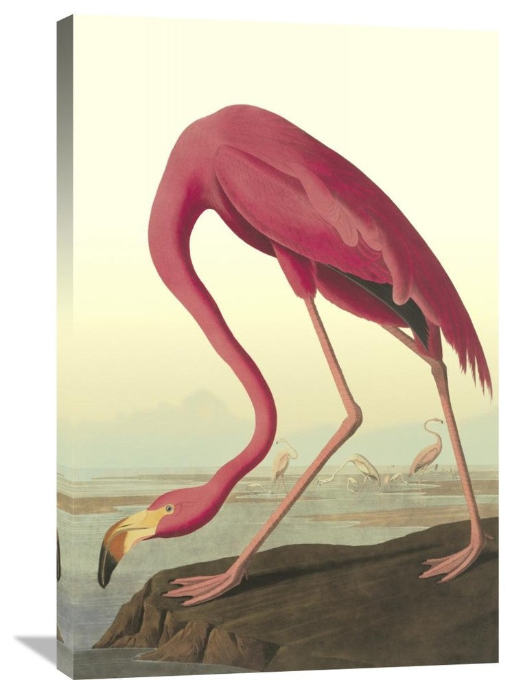 "American Flamingo" Artwork, 24" x 36"