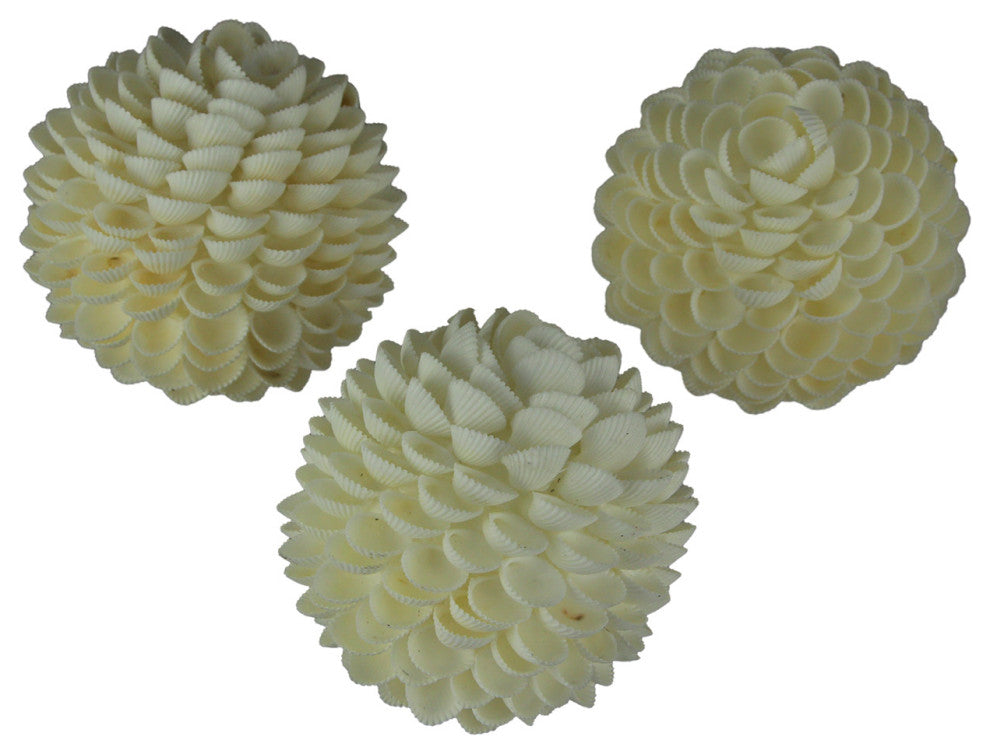 White Clamrose Shell Decor Ball Figurine Set of 3