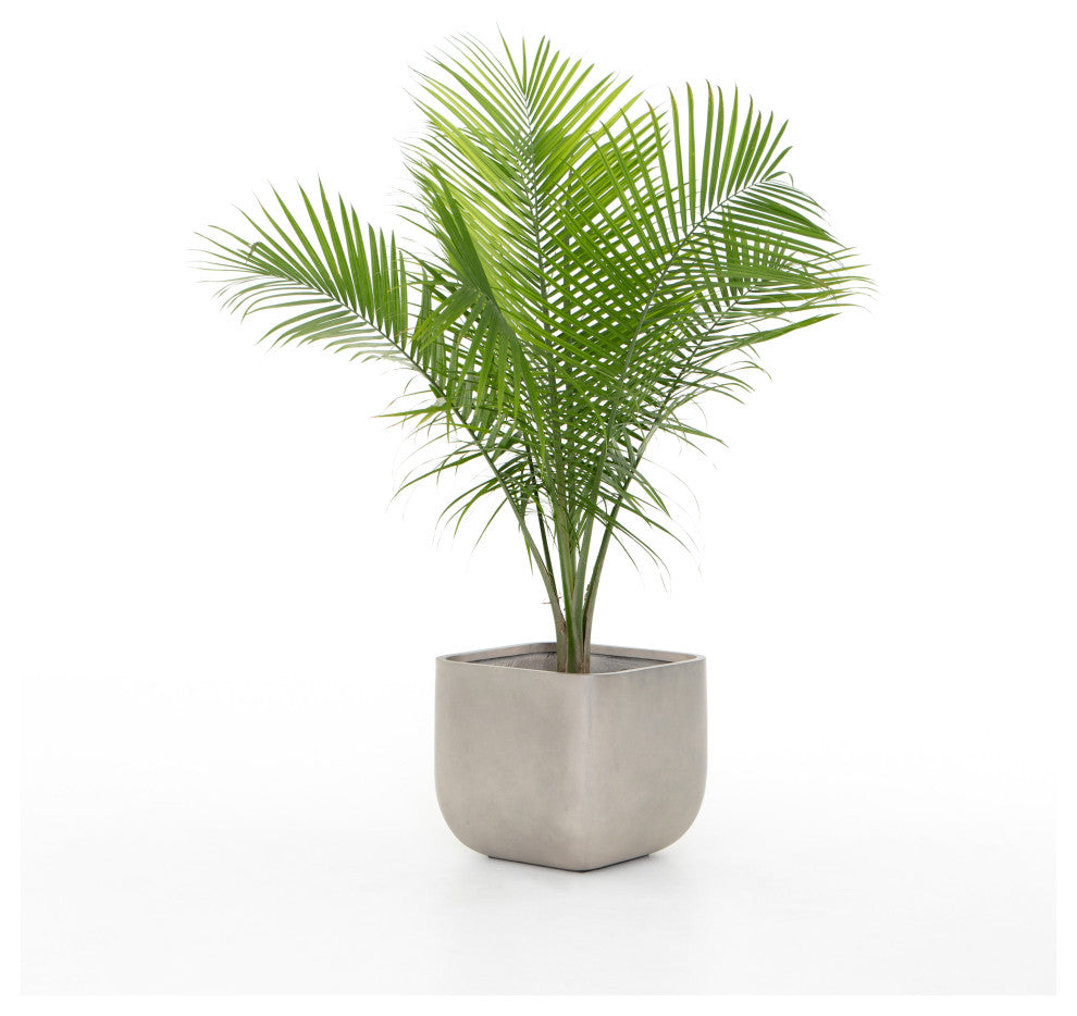 Ivan Square Planter-Grey Concrete