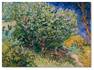 Van Gogh 'Lilac Bush' Canvas Art, 19 x 14