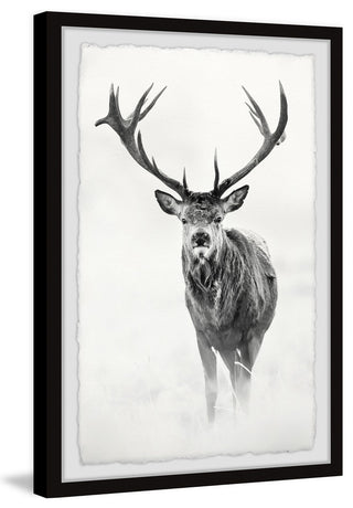 "Elk Stare II" Framed Painting Print, 30"x45"