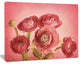 Bunch of Ranunculus Flowers on Pink, Floral Canvas Art Print, 40"x30"