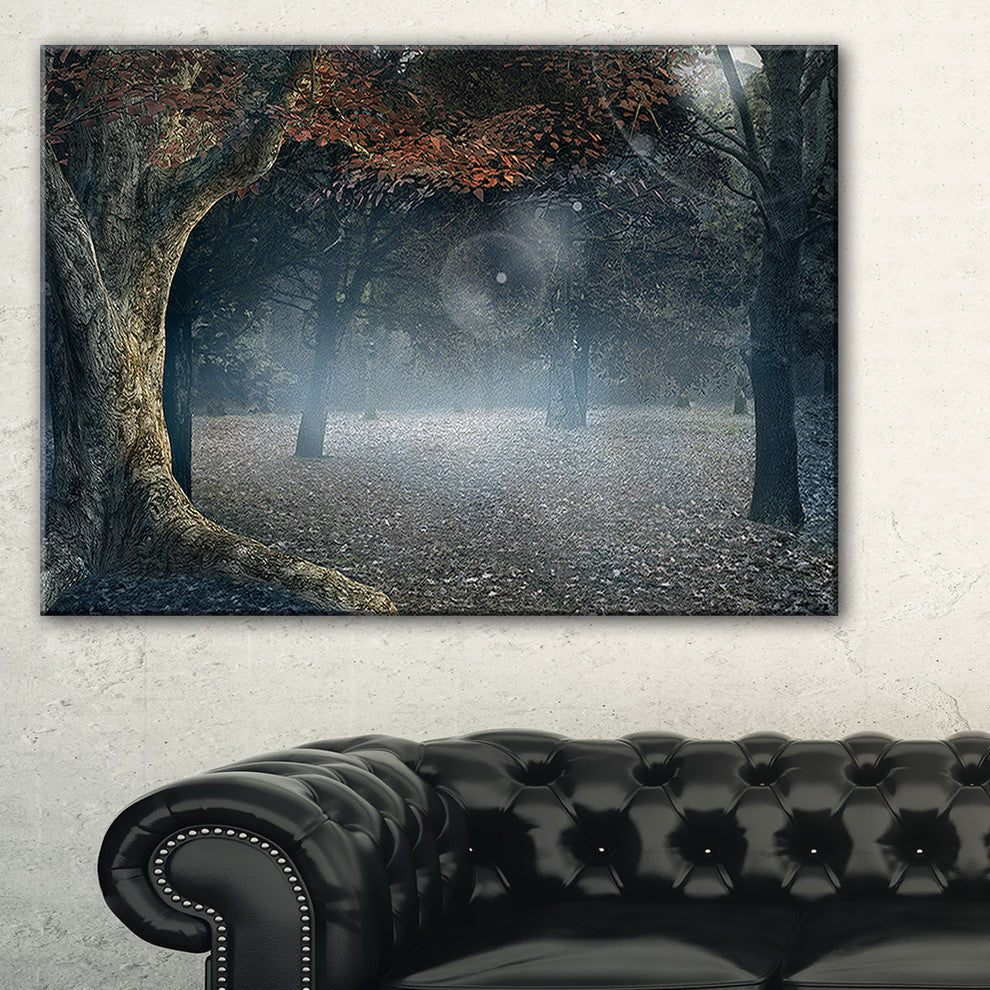 "Big Trees in Dark Foggy Forest" Canvas Print, 32"x16"
