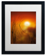 'Nature Time Machine' Matted Framed Canvas Art by Philippe Sainte-Laudy