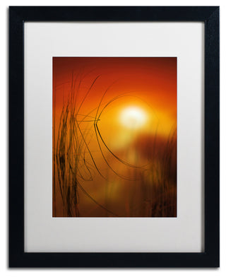 'Nature Time Machine' Matted Framed Canvas Art by Philippe Sainte-Laudy
