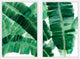 La Habana III Diptych, 32x24