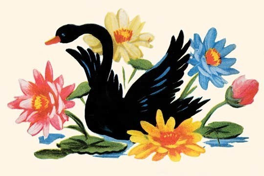 Black Swan - Canvas Poster 20" x 30"