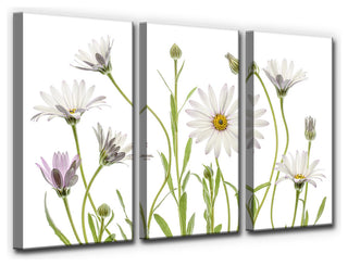 Ready2HangArt 'Cape Daisies' 3-Piece Canvas Wall Decor Set, 60"x40"