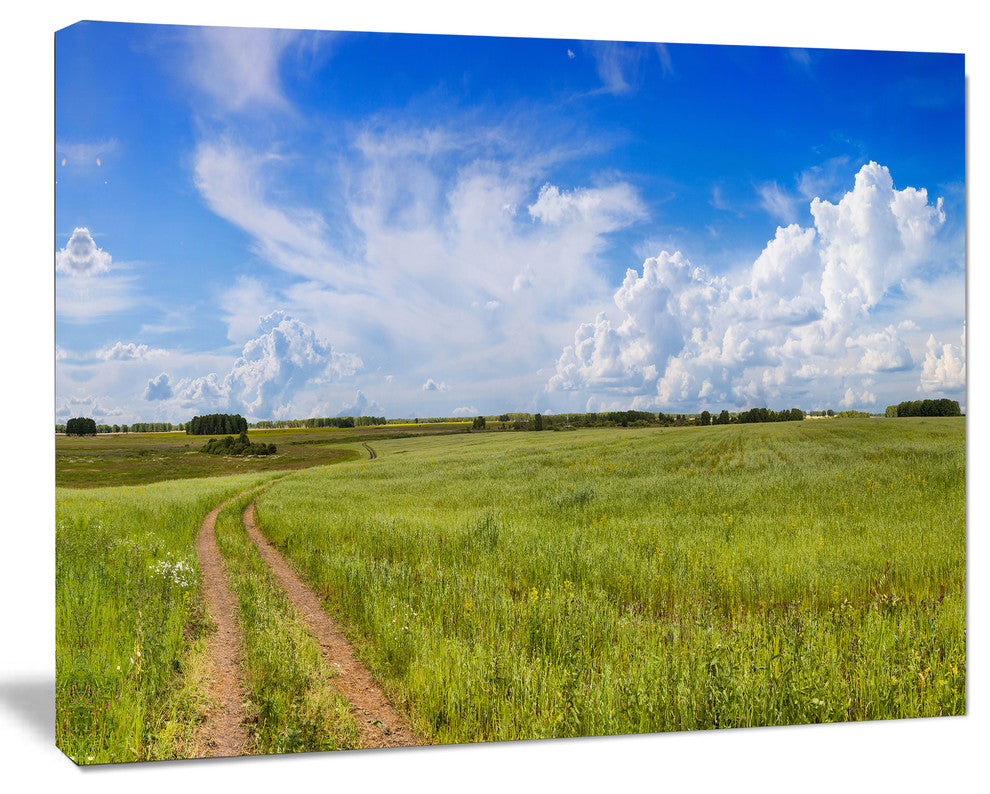 Road in Field with Green Grass, Large landscape Canvas Art Print, 60x40